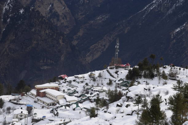 Day 10: Badrinath - Joshimath  - Rudraprayag (160kms/7hrs drive one way).