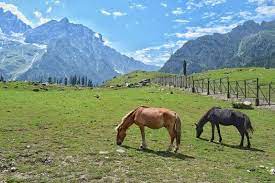 Day 08 : Sonmarg Excusrion 